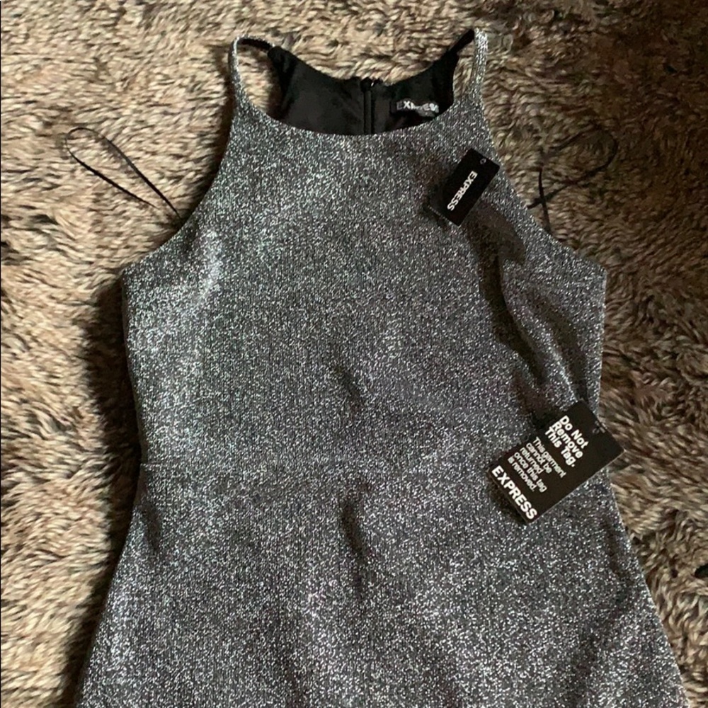 Express Dress - Picture 4 of 6